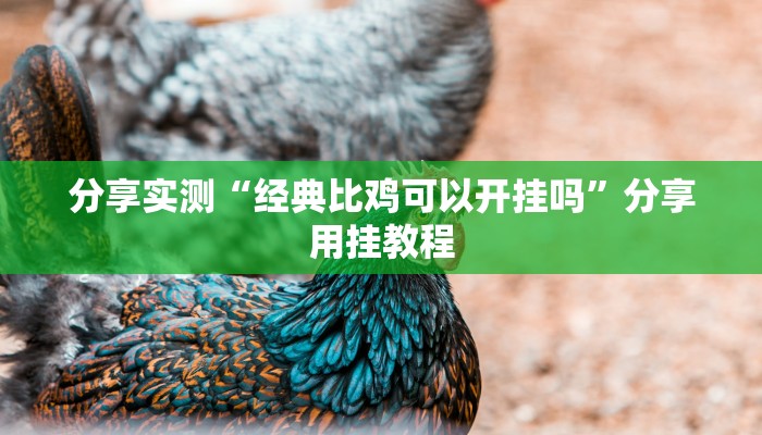 分享实测“财神十三张透视挂开挂教程”附开挂脚本