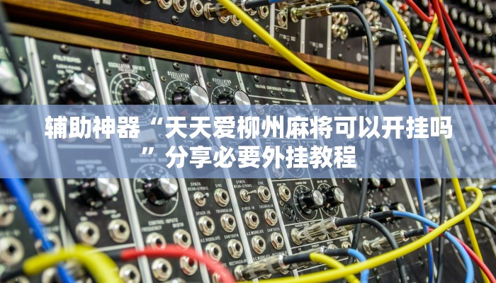 辅助神器“wepokerplus透视挂软件”附开挂脚本