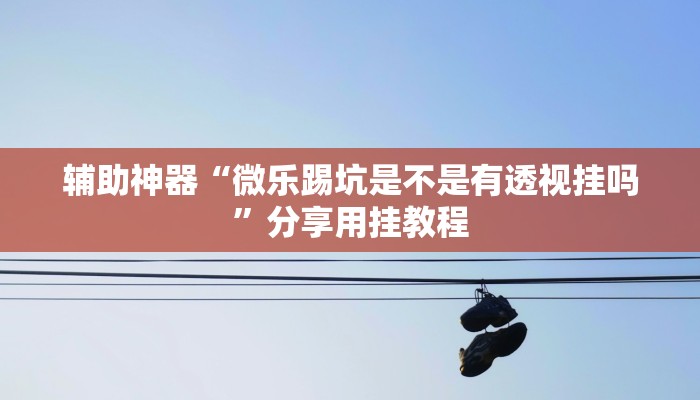 辅助神器“微乐踢坑是不是有透视挂吗”分享用挂教程