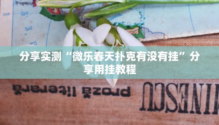 分享实测“旺旺娱乐辅助器”分享用挂教程 分享实测“旺旺娱乐辅助器”分享用挂教程