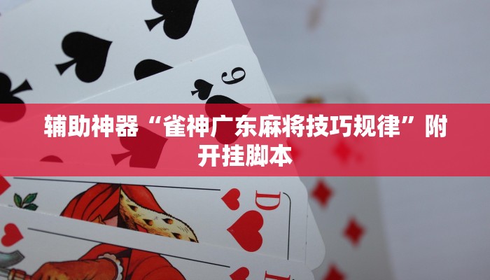 分享实测“大头十三水外卦辅助神器”分享用挂教程 分享实测“大头十三水外卦辅助神器”分享用挂教程