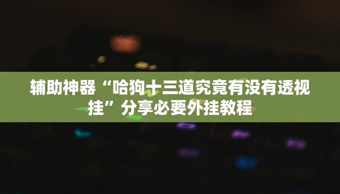 辅助神器“哈狗十三道究竟有没有透视挂”分享必要外挂教程