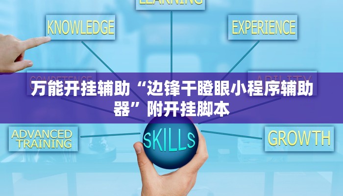 万能开挂辅助“边锋干瞪眼小程序辅助器”附开挂脚本 万能开挂辅助“边锋干瞪眼小程序辅助器”附开挂脚本