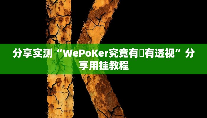 辅助开挂神器“微乐卡五星万能开挂器”其实确实有挂