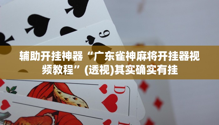 辅助神器“(HHpoker)辅助器通用版”分享必要外挂教程 辅助神器“(HHpoker)辅助器通用版”分享必要外挂教程