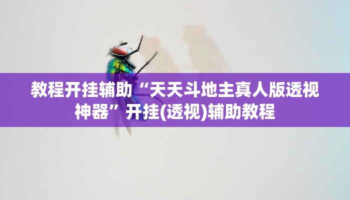 辅助开挂神器“壹起跑得快开挂视频”开挂(透视)辅助教程