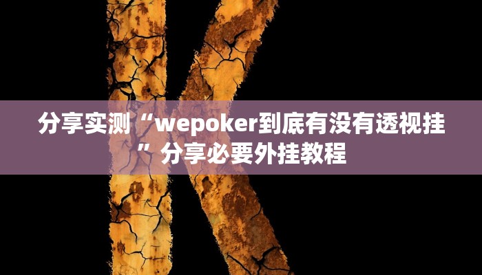 实测教程”wepoker德州挂透视辅助挂软件下载”分享用挂教程