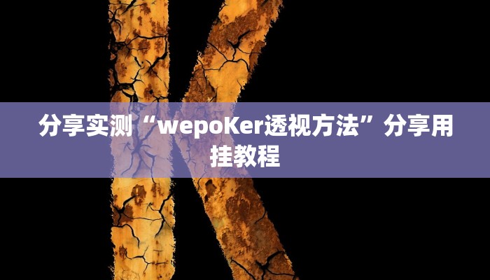 分享实测“wepoKer透视方法”分享用挂教程