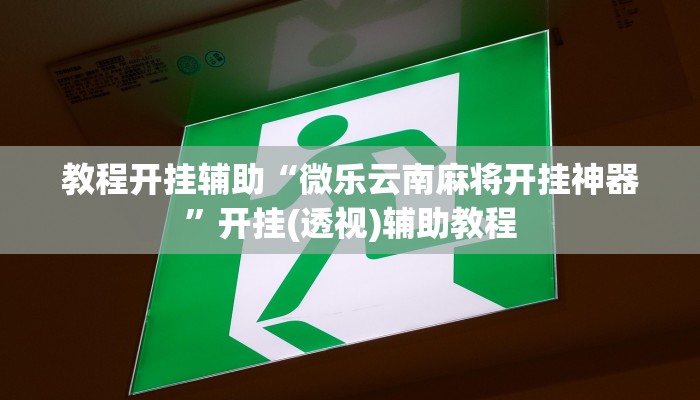 辅助开挂神器“中至鹰潭麻将怎么装开挂”其实确实有挂