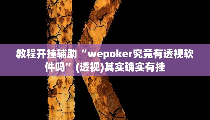 教程开挂辅助“wepoker究竟有透视软件吗”(透视)其实确实有挂 教程开挂辅助“wepoker究竟有透视软件吗”(透视)其实确实有挂