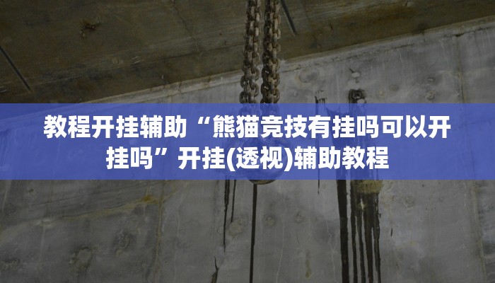 教程开挂辅助“熊猫竞技有挂吗可以开挂吗”开挂(透视)辅助教程