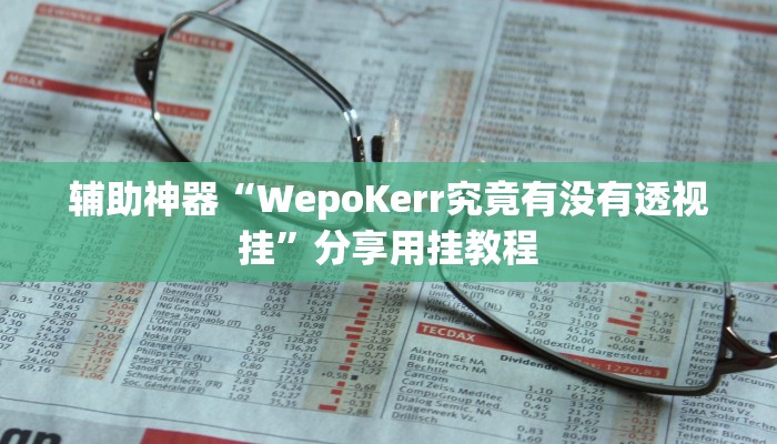 辅助神器“hhpoker可以开挂作弊”附开挂脚本