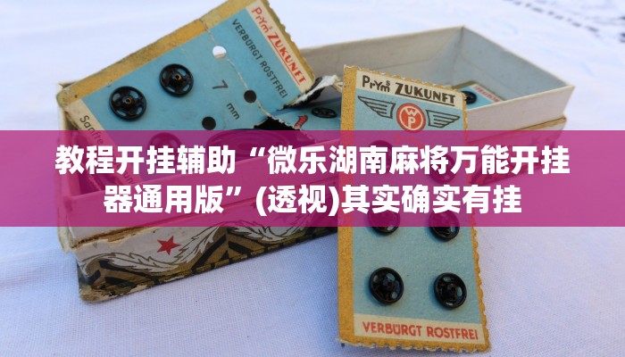 教程开挂辅助“微乐湖南麻将万能开挂器通用版”(透视)其实确实有挂