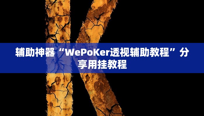 辅助神器“WePoKer透视辅助教程”分享用挂教程 辅助神器“WePoKer透视辅助教程”分享用挂教程
