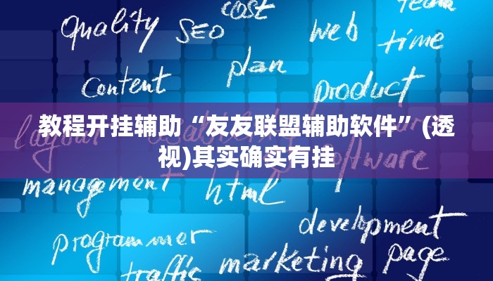 教程开挂辅助“友友联盟辅助软件”(透视)其实确实有挂