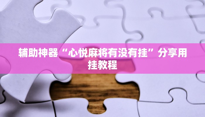 辅助神器“心悦麻将有没有挂”分享用挂教程 辅助神器“心悦麻将有没有挂”分享用挂教程