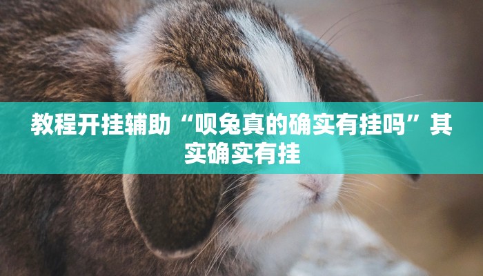 教程开挂辅助“呗兔真的确实有挂吗”其实确实有挂