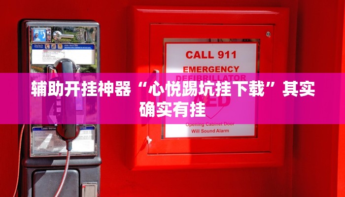 辅助开挂神器“心悦踢坑挂下载”其实确实有挂