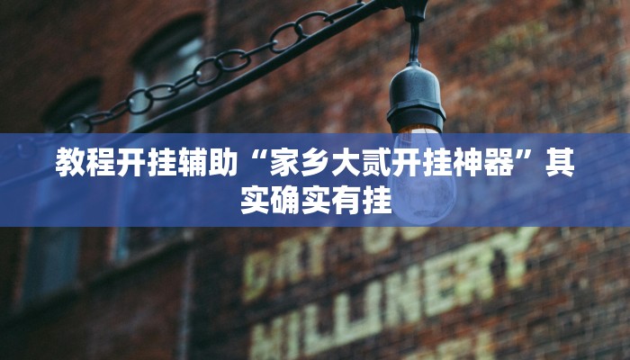 教程开挂辅助“家乡大贰开挂神器”其实确实有挂