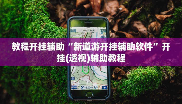 教程开挂辅助“新道游开挂辅助软件”开挂(透视)辅助教程 教程开挂辅助“新道游开挂辅助软件”开挂(透视)辅助教程