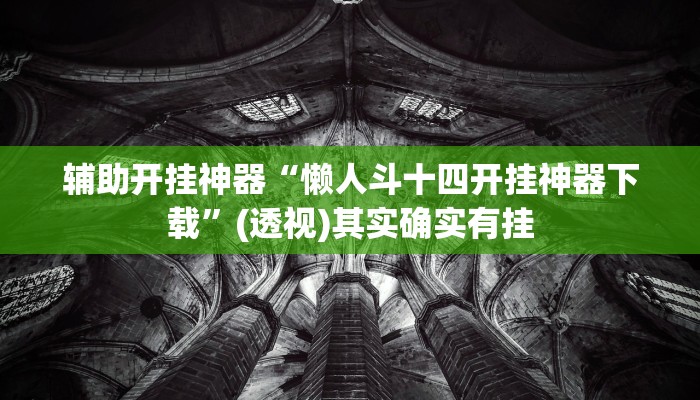 辅助开挂神器“懒人斗十四开挂神器下载”(透视)其实确实有挂