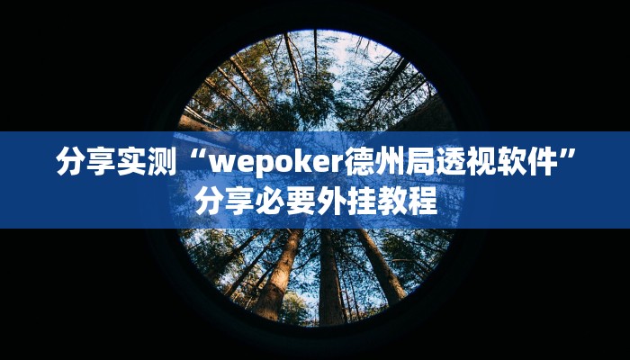 分享实测“wepoker德州局透视软件”分享必要外挂教程