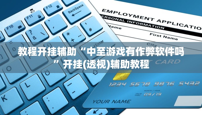 教程开挂辅助“中至游戏有作弊软件吗”开挂(透视)辅助教程