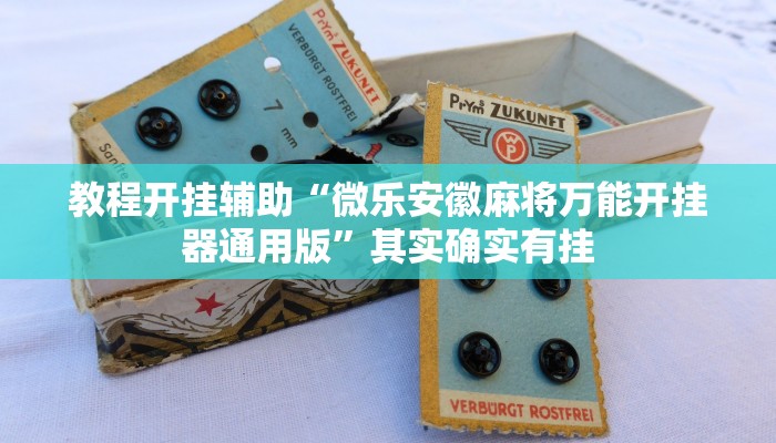 教程开挂辅助“微乐安徽麻将万能开挂器通用版”其实确实有挂