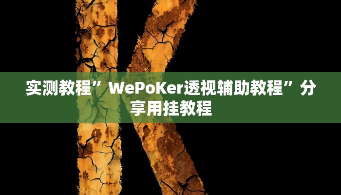 实测教程”WePoKer透视辅助教程”分享用挂教程