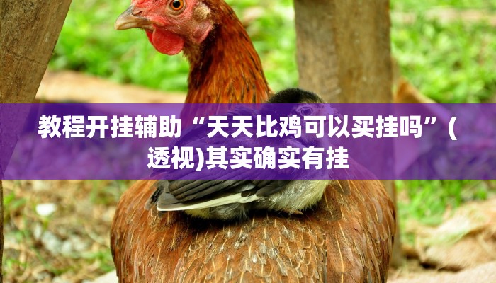 教程开挂辅助“天天比鸡可以买挂吗”(透视)其实确实有挂