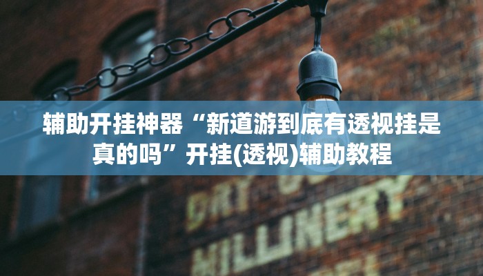 辅助开挂神器“新道游到底有透视挂是真的吗”开挂(透视)辅助教程