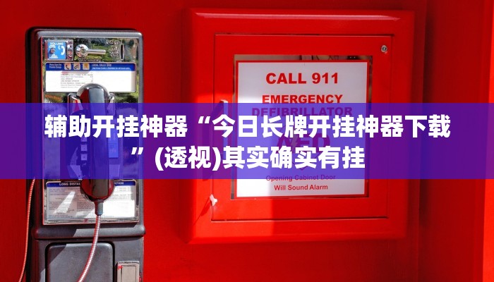 辅助开挂神器“今日长牌开挂神器下载”(透视)其实确实有挂