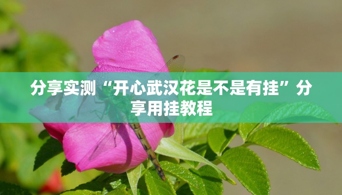 分享实测“开心武汉花是不是有挂”分享用挂教程