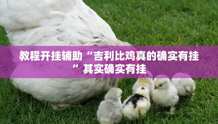 教程开挂辅助“吉利比鸡真的确实有挂”其实确实有挂 教程开挂辅助“吉利比鸡真的确实有挂”其实确实有挂