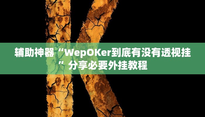 辅助神器“WepOKer到底有没有透视挂”分享必要外挂教程
