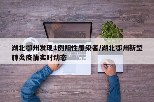 湖北鄂州发现1例阳性感染者/湖北鄂州新型肺炎疫情实时动态